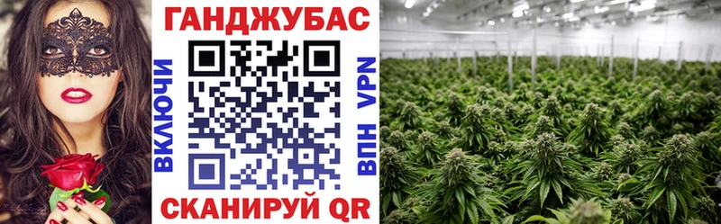 Наркошоп купить A PVP  Псилоцибиновые грибы  ГАШИШ  COCAIN  Меф мяу мяу  Санкт-Петербург