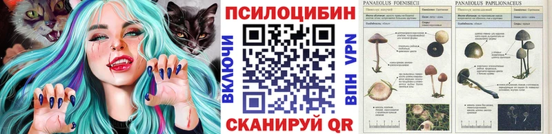 Галлюциногенные грибы мухоморы Санкт-Петербург