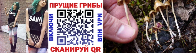 Купить где  Санкт-Петербург  Галлюциногенные грибы мухоморы